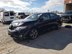 Salvage cars for sale at Fort Wayne, IN auction: 2014 Toyota Camry SE