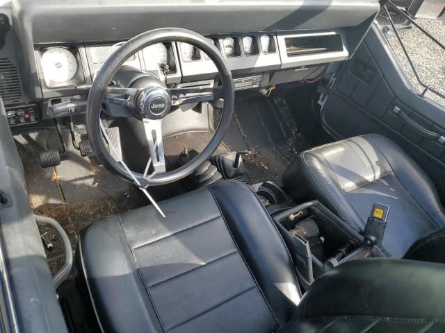 1991 Jeep Wrangler / YJ