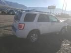 2009 Ford Escape Limited