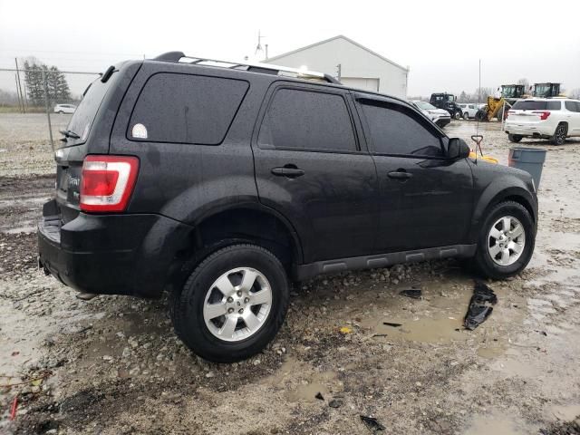 2011 Ford Escape Limited