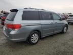 2010 Honda Odyssey EXL