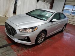 Vandalism Cars for sale at auction: 2019 Hyundai Sonata SE