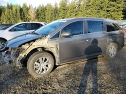 Honda Odyssey exl salvage cars for sale: 2014 Honda Odyssey EXL