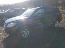 Toyota salvage cars for sale: 2010 Toyota Rav4