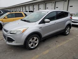 Buy Salvage Cars For Sale now at auction: 2014 Ford Escape SE