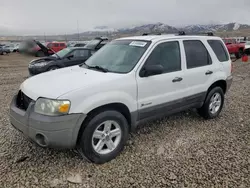 Salvage cars for sale at Magna, UT auction: 2006 Ford Escape HEV