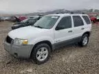 2006 Ford Escape HEV