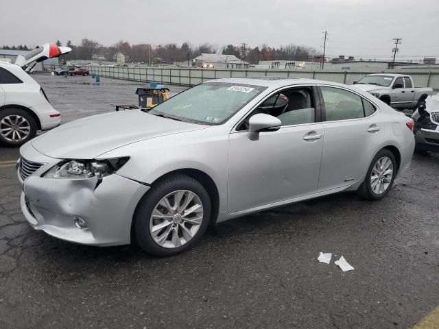 2014 Lexus ES 300H