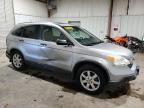 2007 Honda CR-V EX