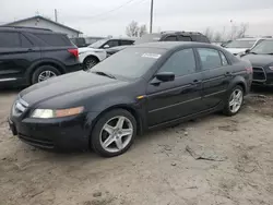 Acura tl salvage cars for sale: 2005 Acura TL