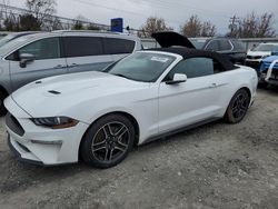 Muscle Cars for sale at auction: 2023 Ford Mustang