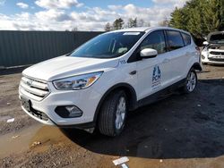 Salvage cars for sale at Finksburg, MD auction: 2019 Ford Escape SE