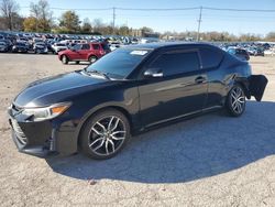 Salvage cars for sale at Lawrenceburg, KY auction: 2016 Scion TC