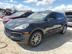 Salvage cars for sale at auction: 2020 Porsche Cayenne