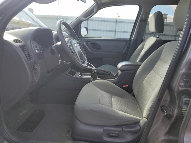 2006 Ford Escape XLT