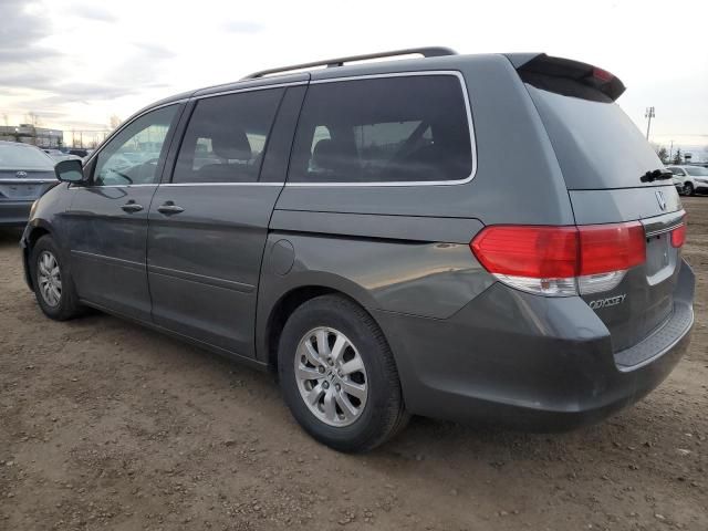 2008 Honda Odyssey EXL