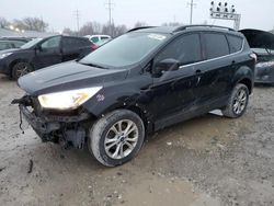 Salvage cars for sale at Columbus, OH auction: 2018 Ford Escape SEL