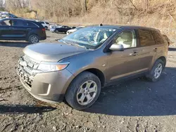 Salvage Cars with No Bids Yet For Sale at auction: 2013 Ford Edge SEL