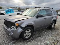 Salvage cars for sale at Louisville, KY auction: 2008 Ford Escape XLT