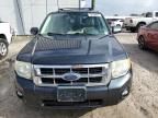 2008 Ford Escape HEV