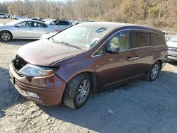 Honda Vehiculos salvage en venta: 2013 Honda Odyssey EXL