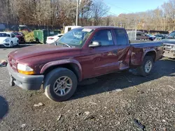 Vehiculos salvage en venta de Copart Baltimore, MD: 2003 Dodge Dakota SXT