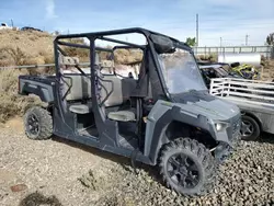 Salvage motorcycles for sale at Reno, NV auction: 2020 ATV Arctic Cat