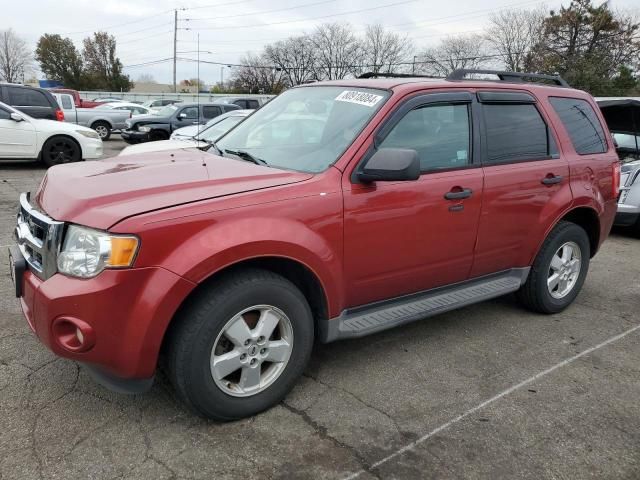 2012 Ford Escape XLT