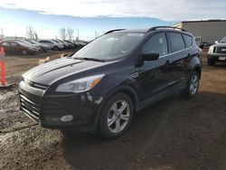 Salvage cars for sale from Copart Rocky View County, AB: 2014 Ford Escape SE