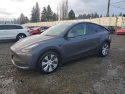 Salvage cars for sale at Graham, WA auction: 2023 Tesla Model Y