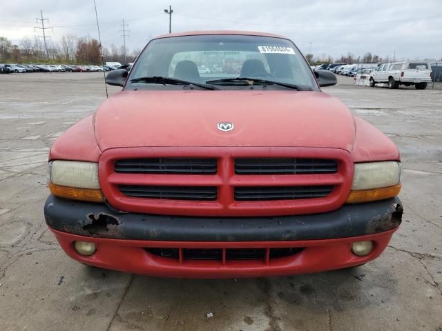 2000 Dodge Dakota