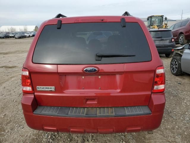 2010 Ford Escape XLT