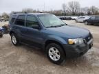 2005 Ford Escape XLT