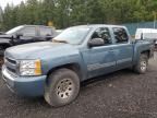 2010 Chevrolet Silverado K1500 LS