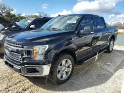 Salvage cars for sale at Arcadia, FL auction: 2019 Ford F150 Supercrew