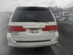 2010 Honda Odyssey EXL