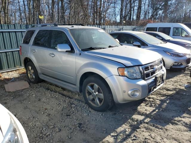 2011 Ford Escape Limited