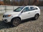 2011 KIA Sorento EX