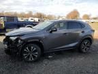 2019 Lexus NX 300 Base