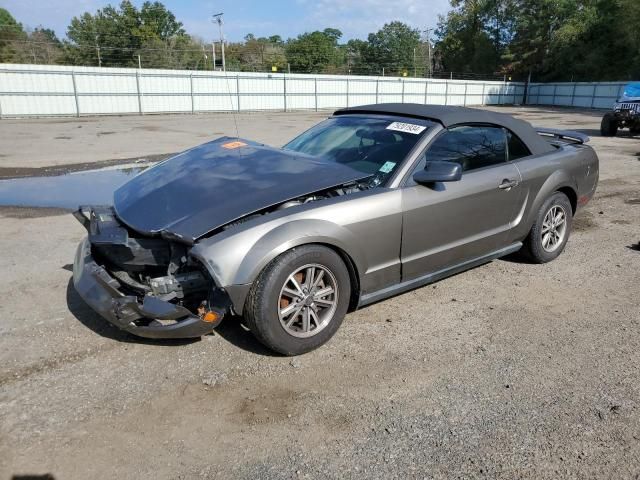 2005 Ford Mustang