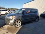 2010 KIA Soul +