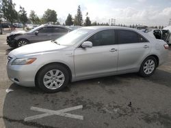 Salvage cars for sale at Rancho Cucamonga, CA auction: 2007 Toyota Camry Hybrid