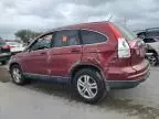 2010 Honda CR-V EXL