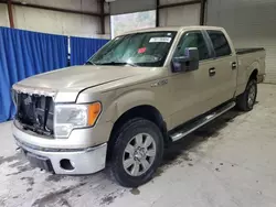 2010 Ford F150 Supercrew en venta en Hurricane, WV