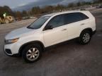 2011 KIA Sorento Base