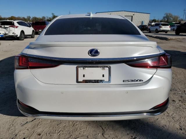 2021 Lexus ES 300H Luxury