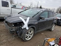 Ford Escape salvage cars for sale: 2013 Ford Escape Titanium