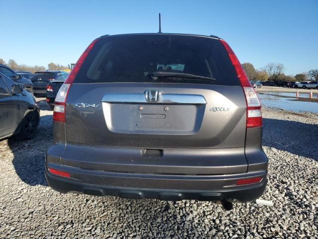 2010 Honda CR-V EXL