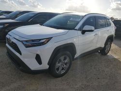 2023 Toyota Rav4 XLE en venta en Arcadia, FL