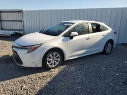 Toyota Corolla le Vehiculos salvage en venta: 2024 Toyota Corolla LE